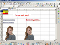 primxlsx.jpg