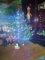 jolka_2024_small.jpg (767.41 КБ) 10522 просмотра jolka_2024_small.jpg